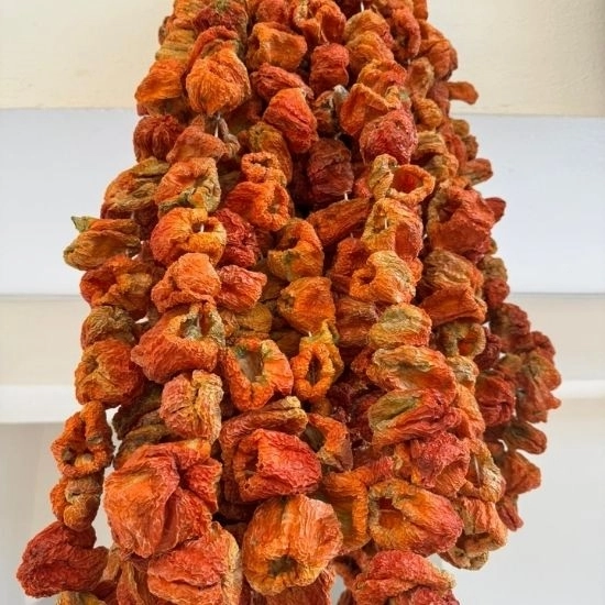 Dolmalık biber ( 1 dizi )